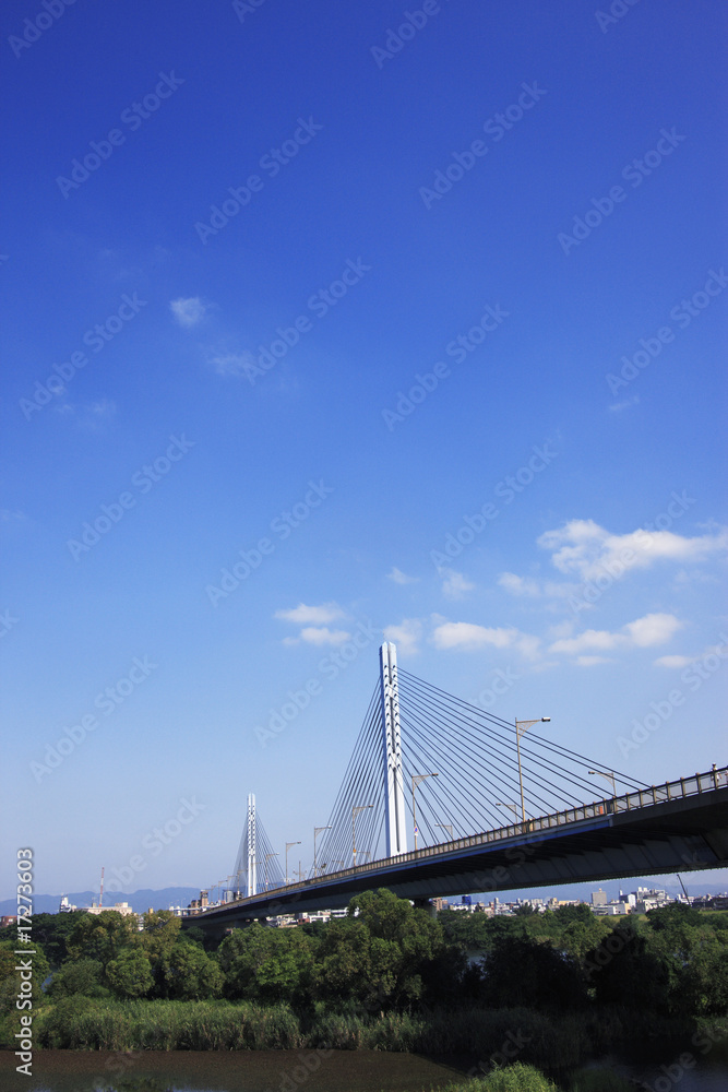 Obraz premium 鉄橋