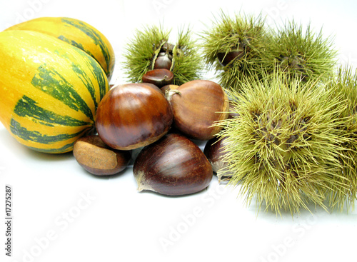Castanhas - Outono