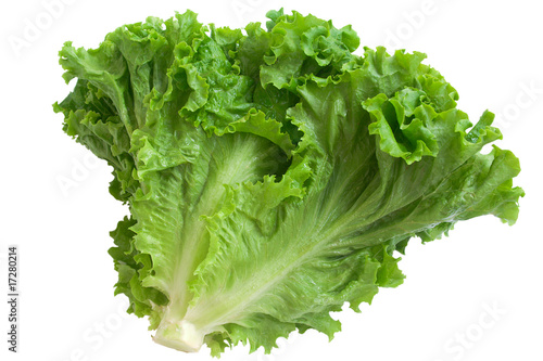 crisp lettuce