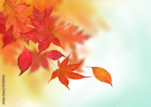 Colourful Autumn Falls