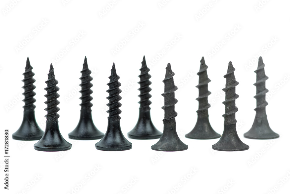 Few standing metal and wood screws Few standing metal and wood screws