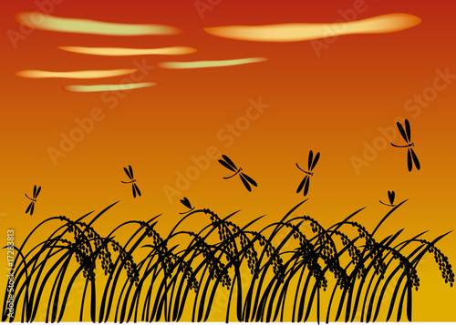 秋　稲穂にトンボ