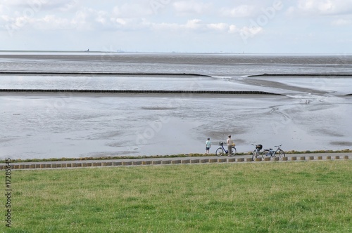 wattenmeer photo