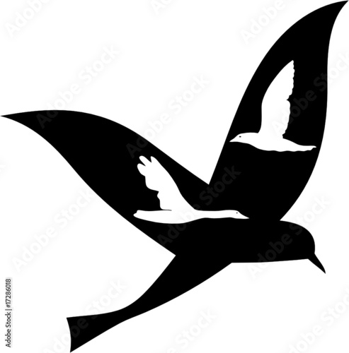 OISEAU B