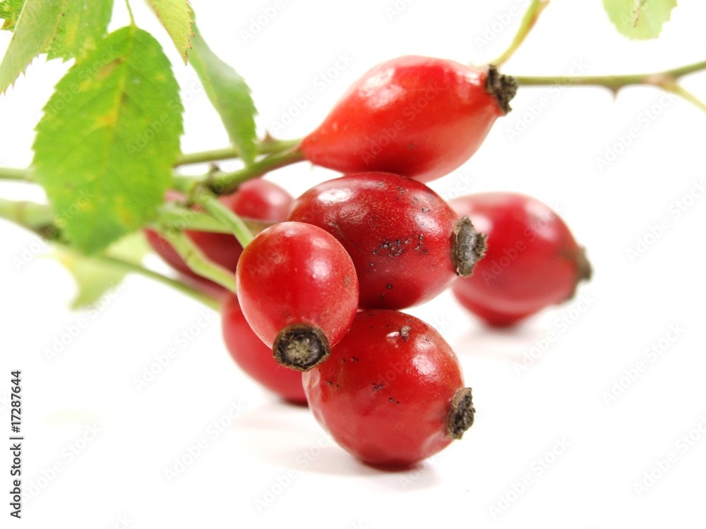 Rosehip