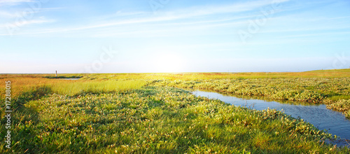 Idylische Wiese im Norden