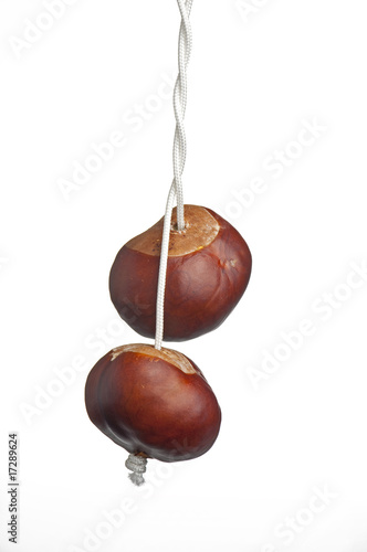 conkers on string