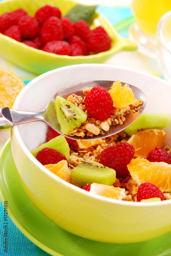 muesli with fresh fruits as diet food muesli with fresh fruits as diet food