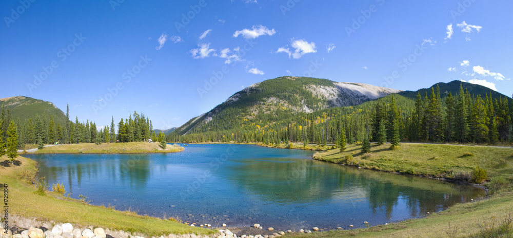 Fototapeta premium Forget Me Not Pond