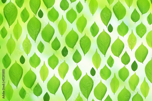 Wallpaper Mural 新緑イメージ Torontodigital.ca