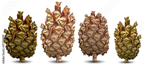Four pine cone