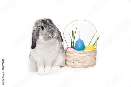 Easter Bunny