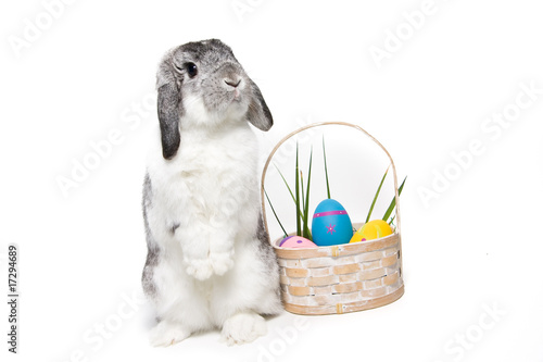 Standing Easter Bunny