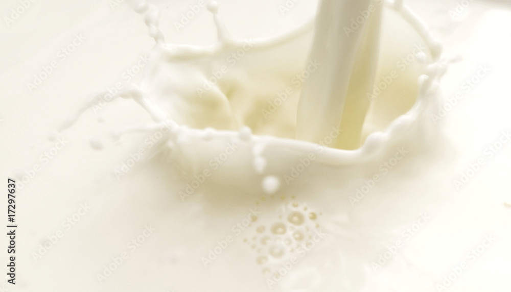 milk milk