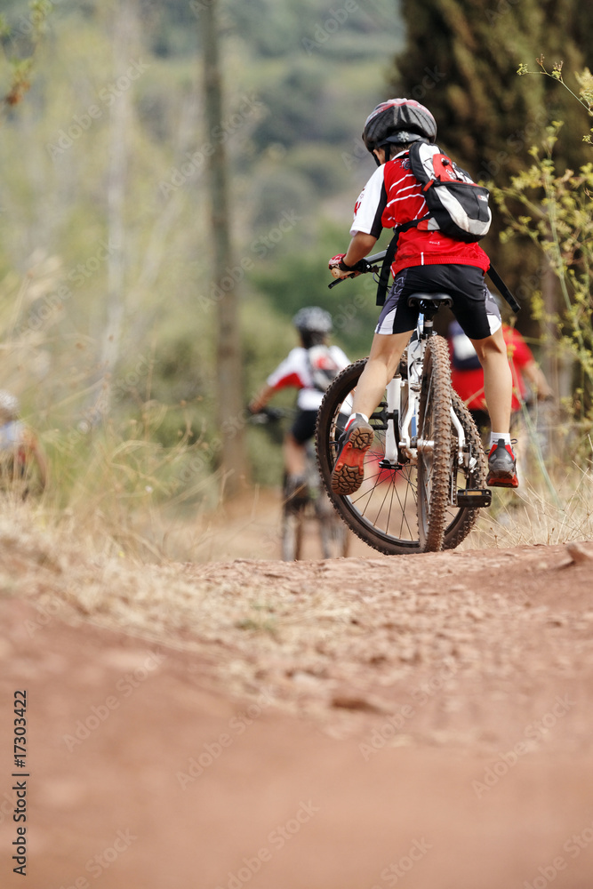 Naklejka premium Vtt