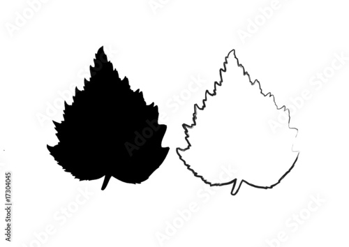 Herbstlaub