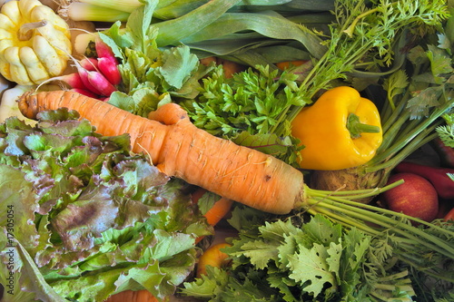 Cagette de légumes biologiques