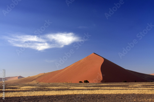 Sossusvlei Dune National park