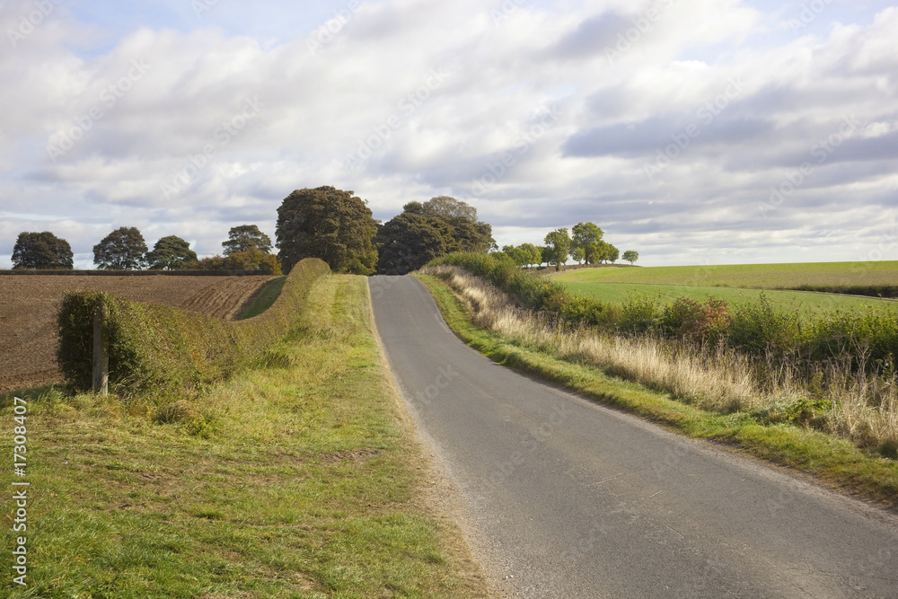 Fototapeta premium english country road