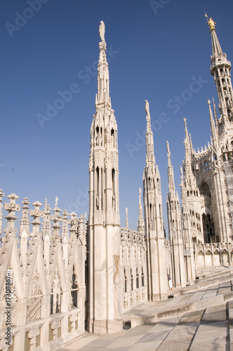 Guglie Duomo Milano