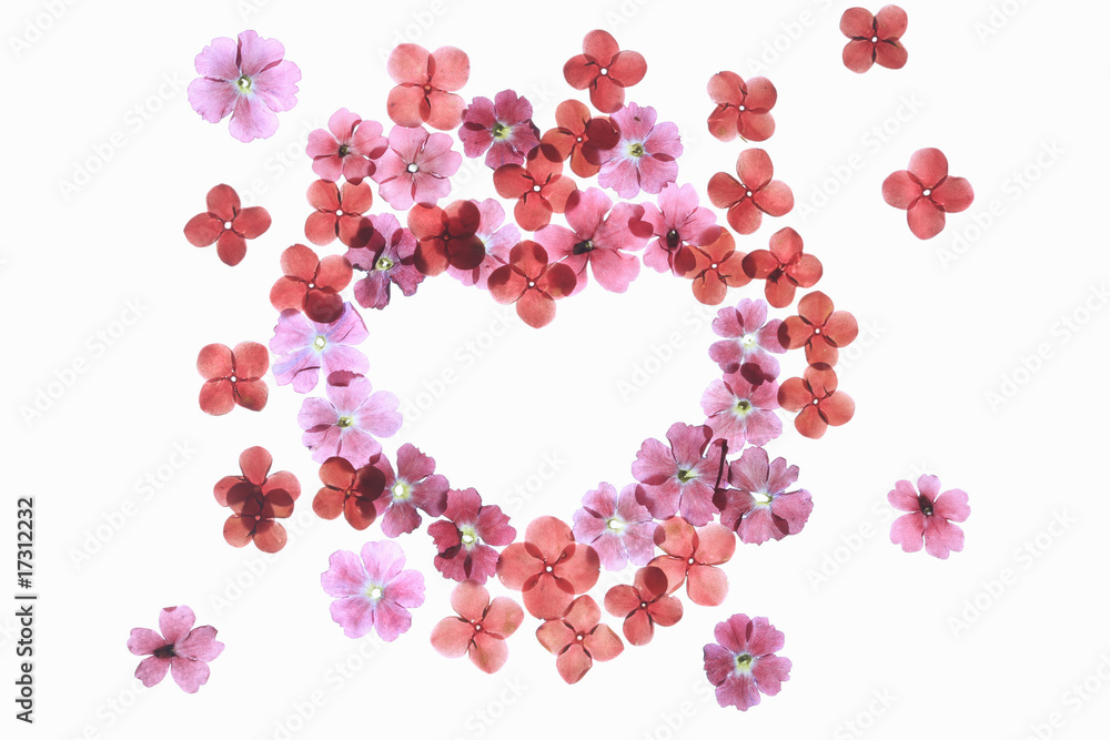 小花の押し花(ハートマーク) 小花の押し花(ハートマーク)