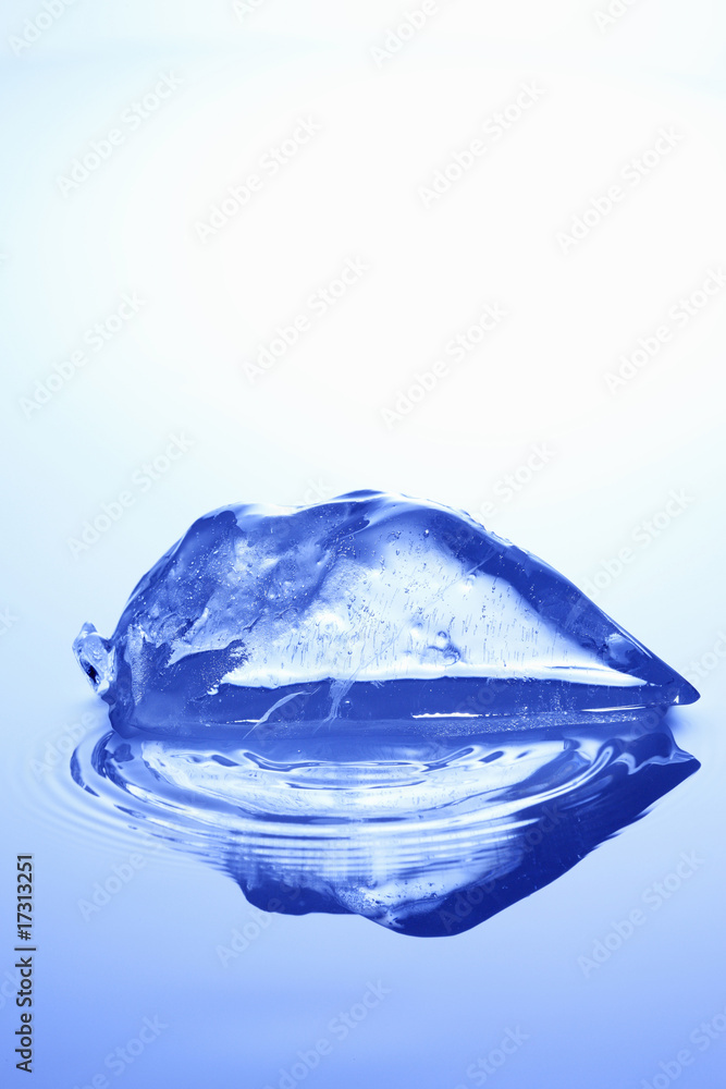 Obraz premium 氷