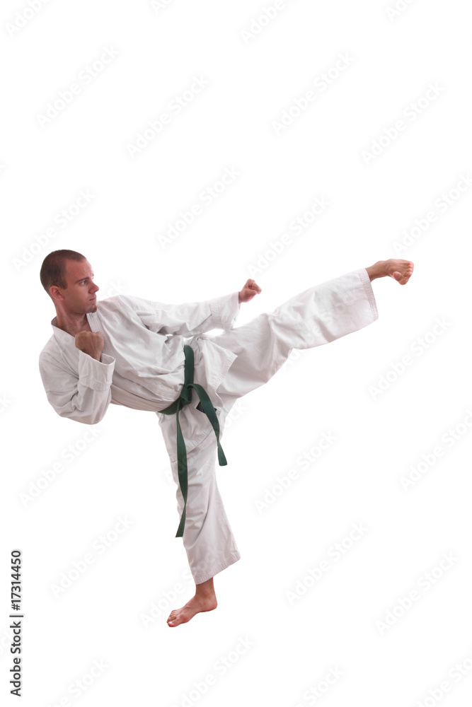 karate man karate man