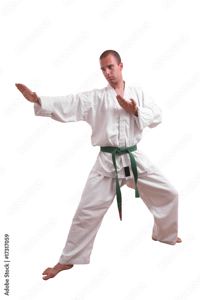 karate man karate man