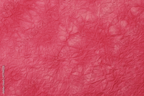 Wallpaper Mural 和紙 Torontodigital.ca