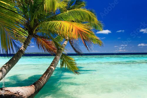 Tropical Paradise at Maldives #17322214
