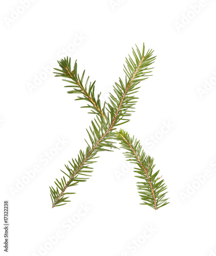 Spruce twigs forming the letter  X 