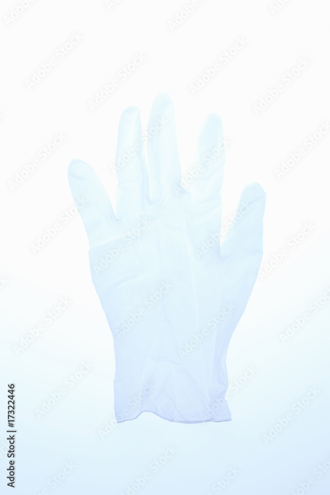 Fototapeta premium 手袋