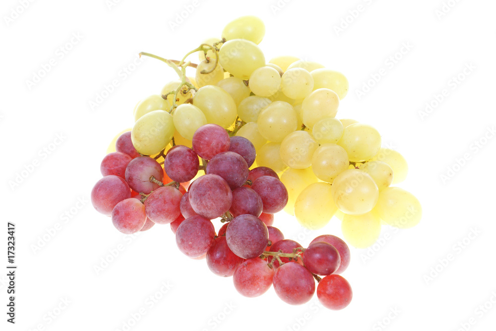 Fototapeta premium grape clusters