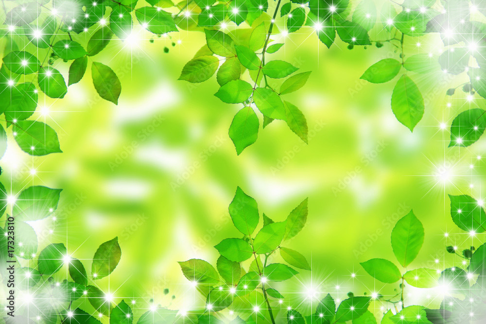 新緑 新緑
