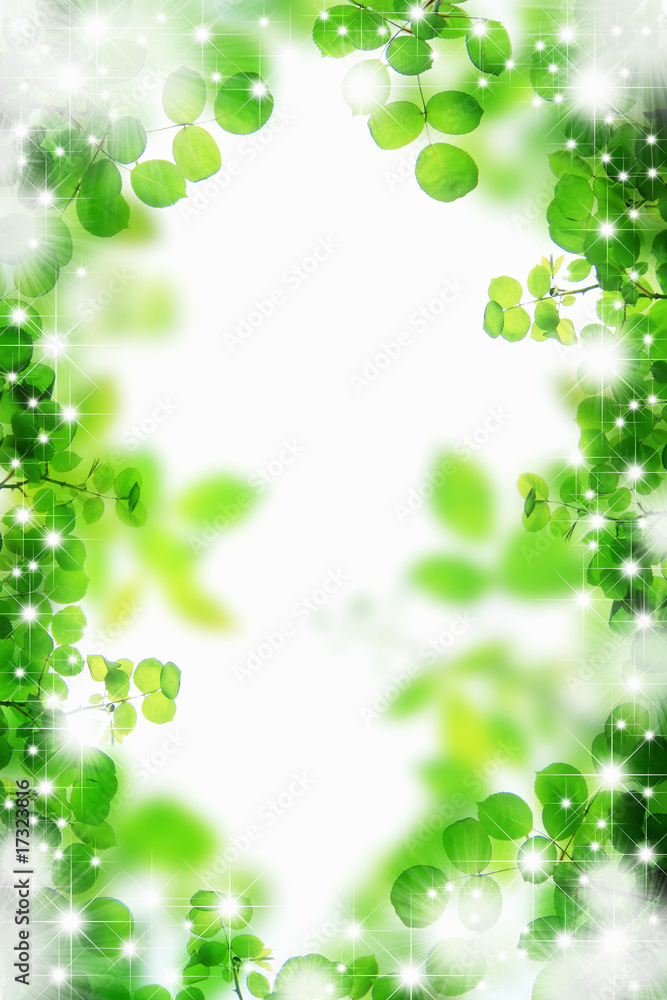 Fototapeta premium 新緑