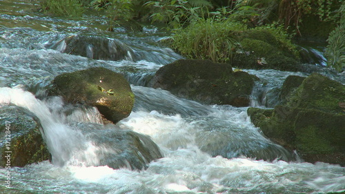 Beautiful small waterfall in forest