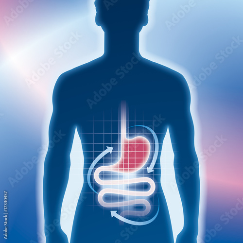 Magen, Darm, Magenmedizin, Untersuchung