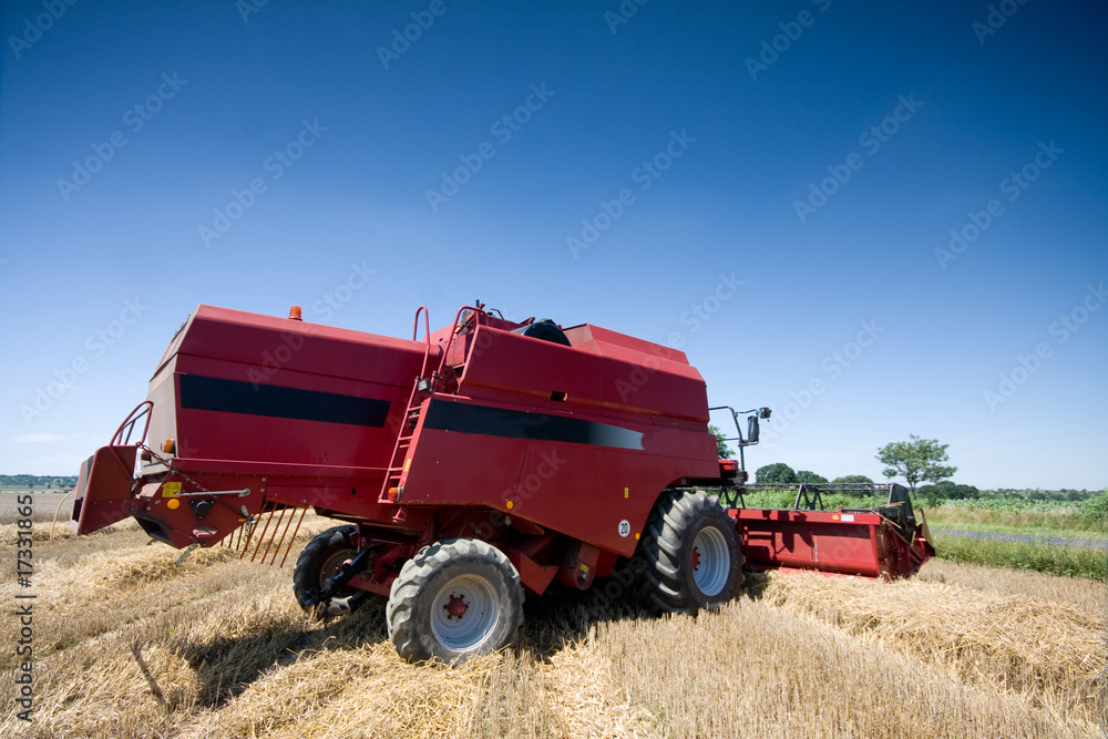 Fototapeta premium Agriculture - Combine