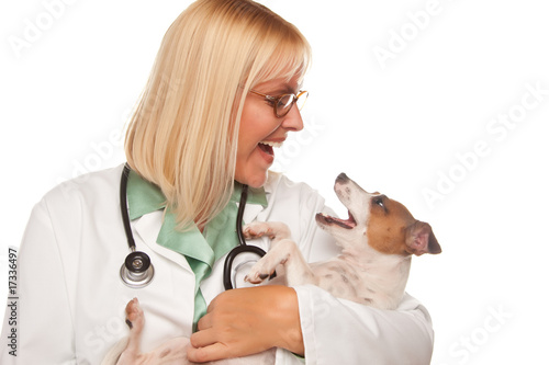 Attractive Female Doctor Veterinarian with Small Puppy