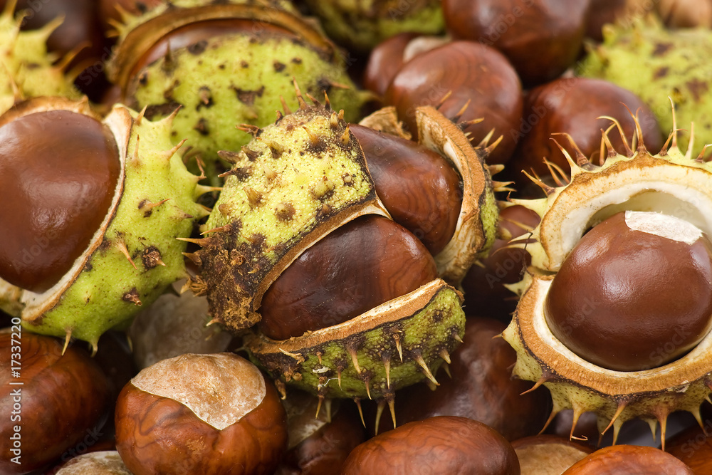 chestnuts