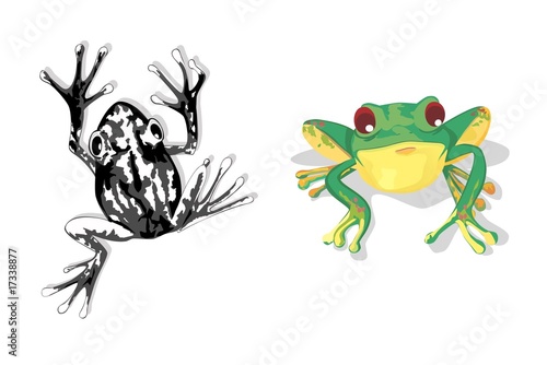 ranas