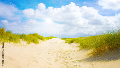 Idyliische Sommerlandschaft an der Nordsee