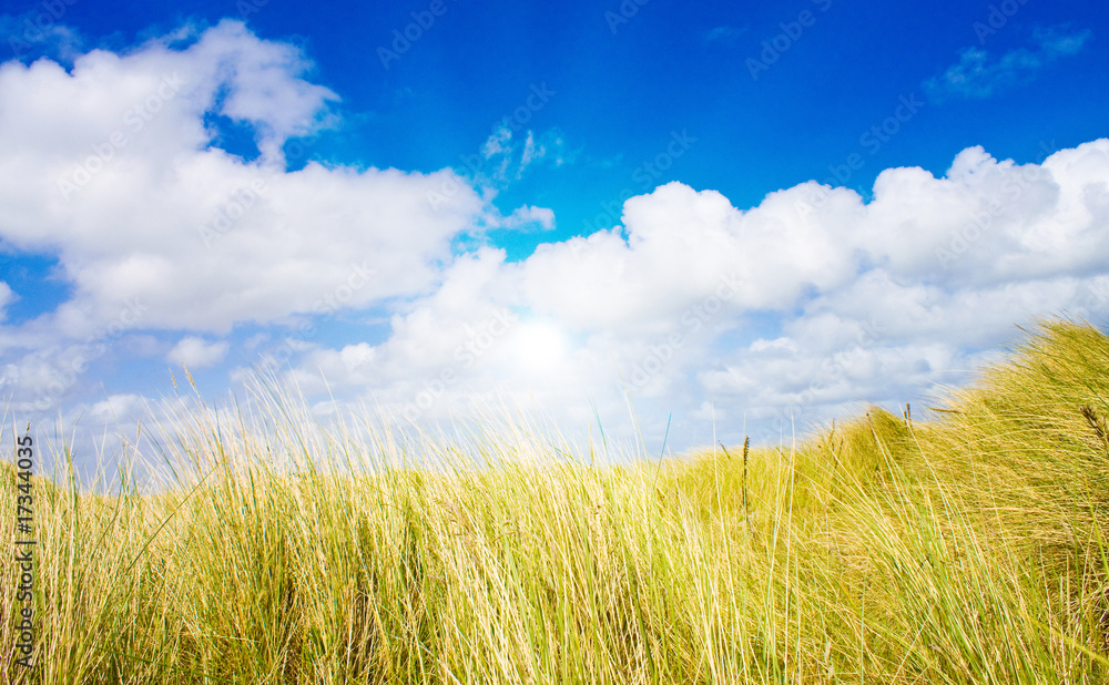 Idyliische Sommerlandschaft an der Nordsee Idyliische Sommerlandschaft an der Nordsee