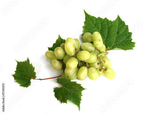 Green Grapes Bunch
