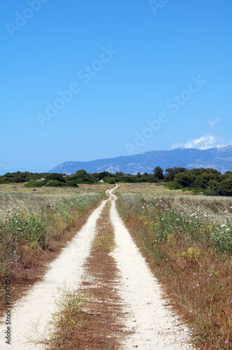 strada verso l Elba