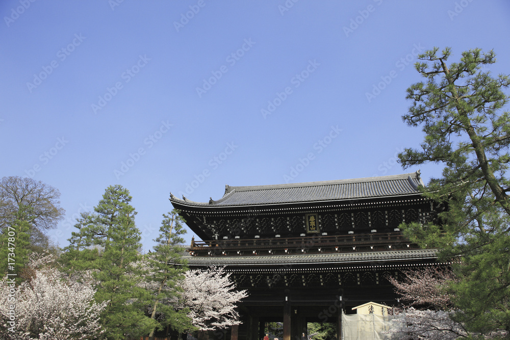 Obraz premium 知恩院