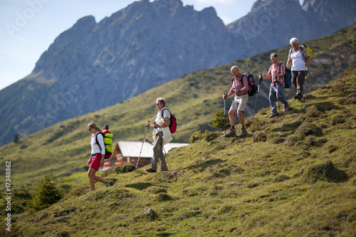 hiking group on mountain pasture photo