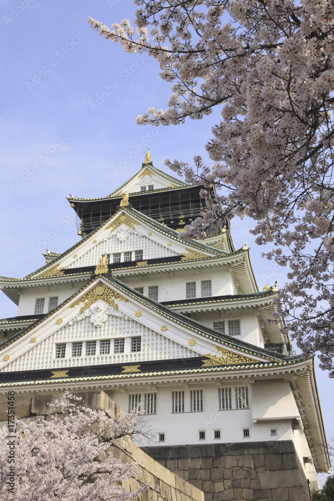 大阪城の桜 大阪城の桜