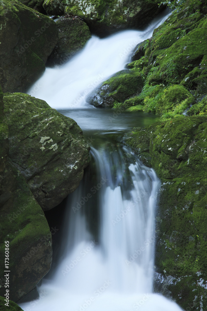 Fototapeta premium 赤目四十八滝渓谷