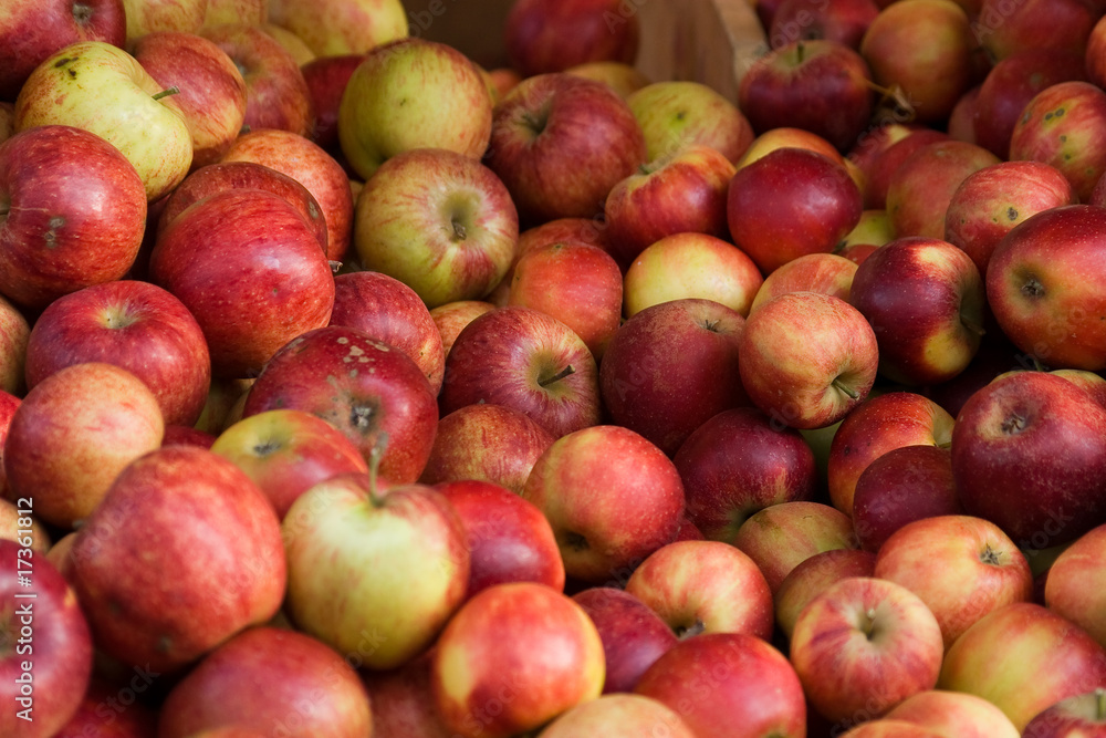 pommes pommes